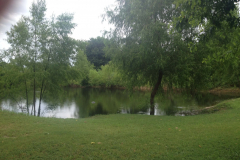 Fishing Pond